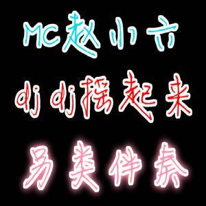 dj赵小六-越南鼓
